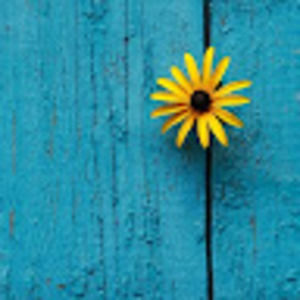 Meet your Posher, S l